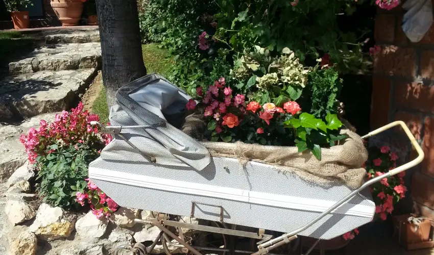 Jo Fogad Wellness Panzi Rbapaty - Mjus 1.