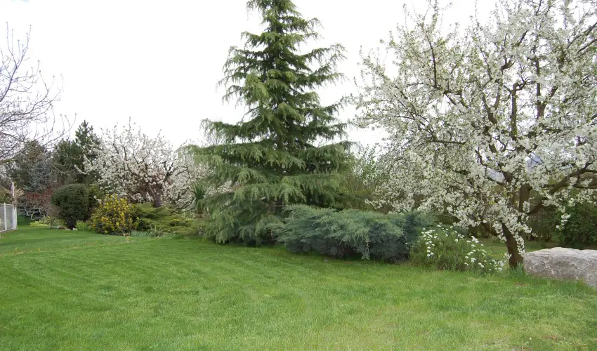 Judit Panzi Tapolca-Gyulakeszi - Mjus 1. (min. 2 j)