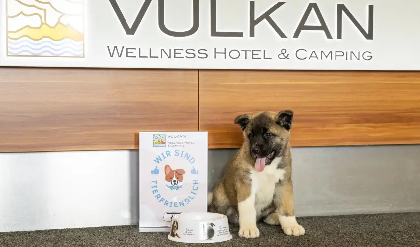 Vulkn Wellness Hotel s Kemping Celldmlk - Majlis (min. 2 j)