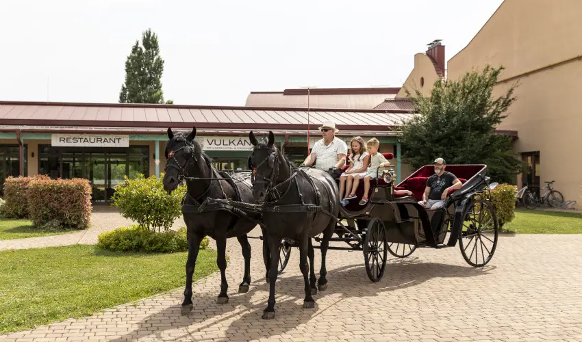 Vulkn Wellness Hotel s Kemping Celldmlk - Majlis (min. 2 j)