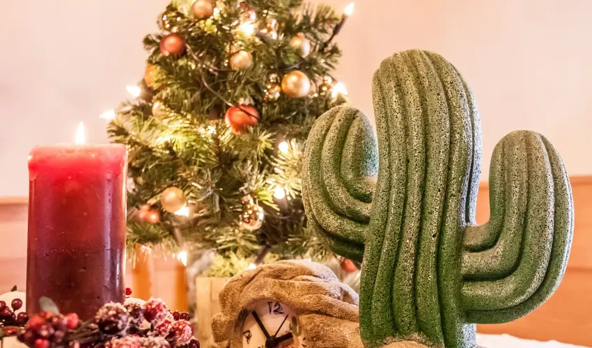 Kaktusz Villa H�v�z - M�jus 1. (min. 2 �j)