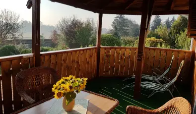 Kaktusz Villa H�v�z