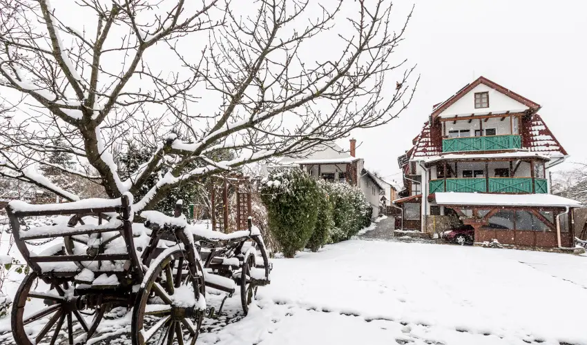 Kaktusz Villa H�v�z - M�jus 1. (min. 2 �j)