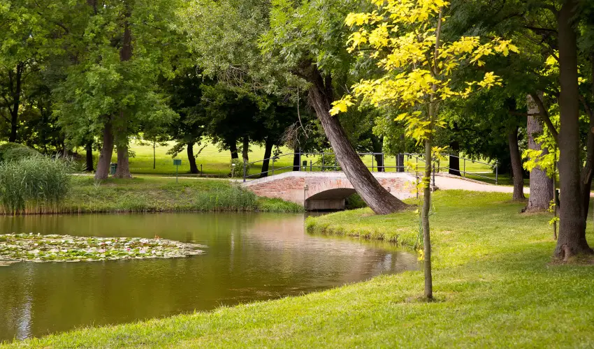 Krolyi Kastly Hotel & Restaurant  Fehrvrcsurg - Mjus 1. - specilis elrefizetssel