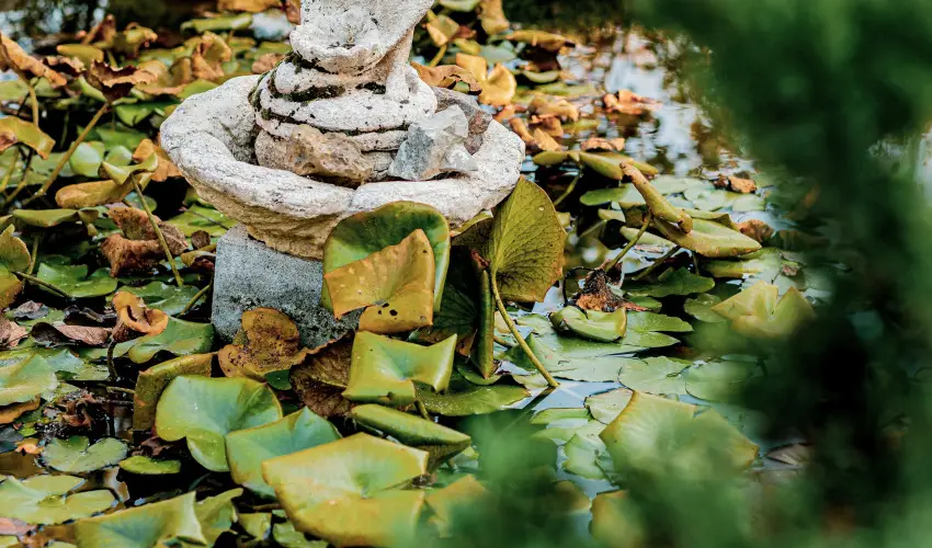 Kastello Vendghz Nagykozr - Mjus 1.