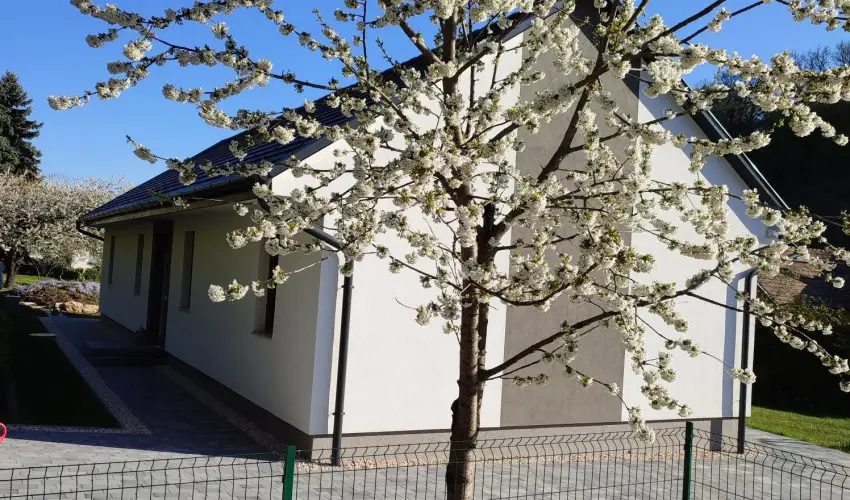 Kat�ng Vend�gh�z Tardos - M�jus 1. (min. 2 �j)