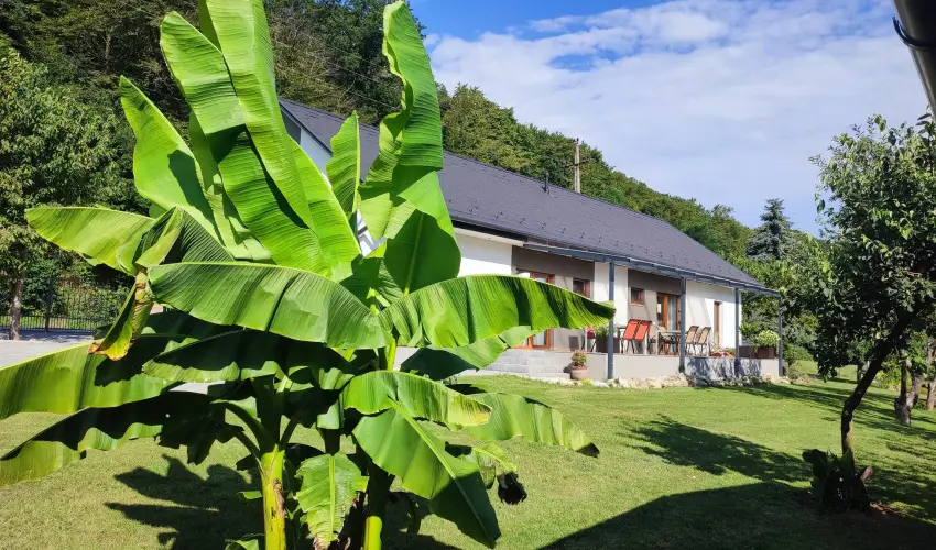 Kat�ng Vend�gh�z Tardos - M�jus 1. (min. 2 �j)