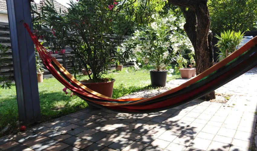 Kkmadr Vendghz Homokmgy - Mjus 1.