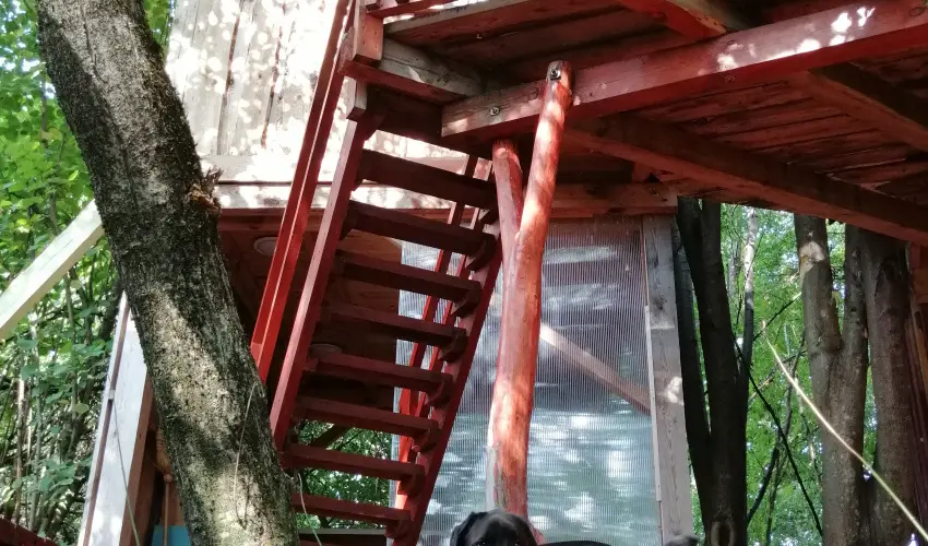 Kerca Bio Farm Kercaszomor - Mjus 1. (min. 2 j)