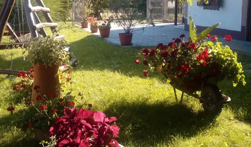 Kerka Vendghz Csesztreg - Mjus 1. (min. 2 j)