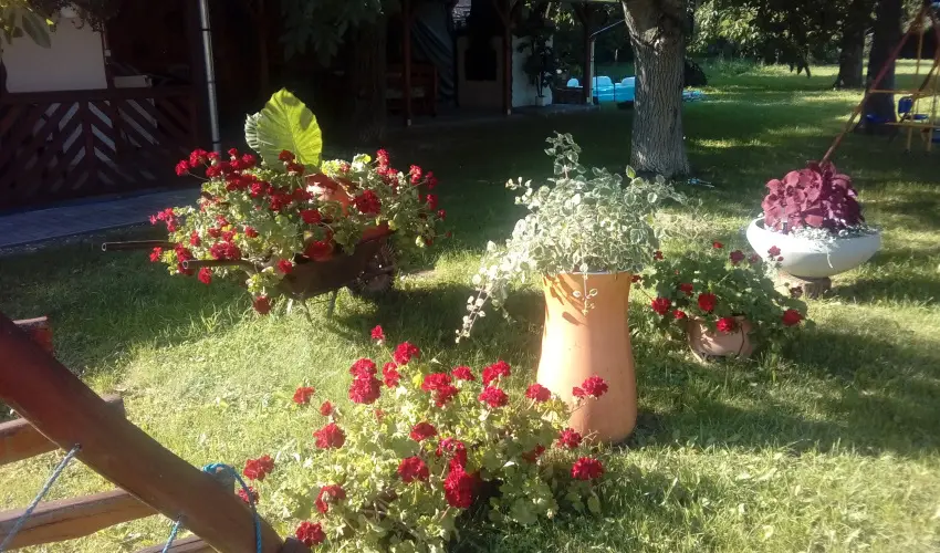 Kerka Vendghz Csesztreg - Mjus 1. (min. 2 j)