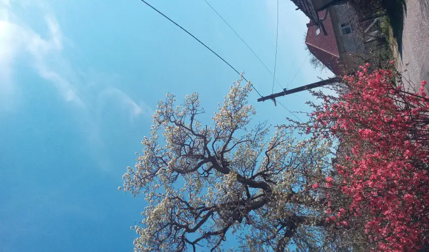 Kerka Vendghz Csesztreg - Mjus 1. (min. 2 j)