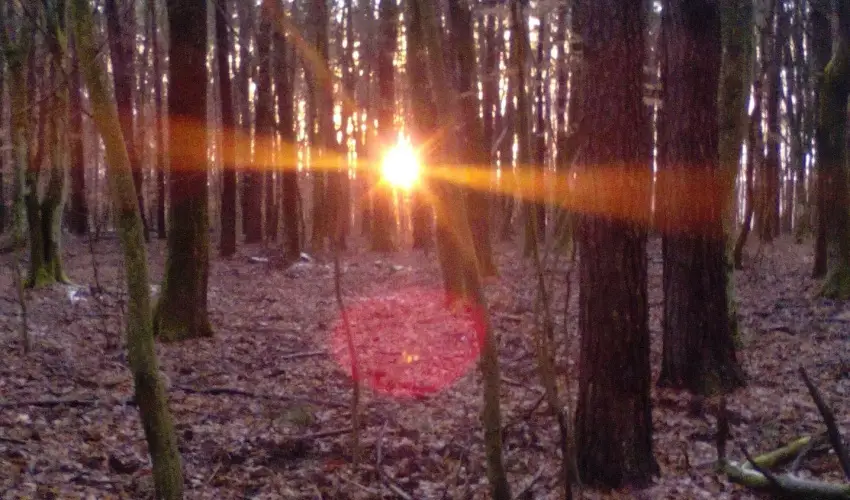 Kerka Vendghz Csesztreg - Mjus 1. (min. 2 j)