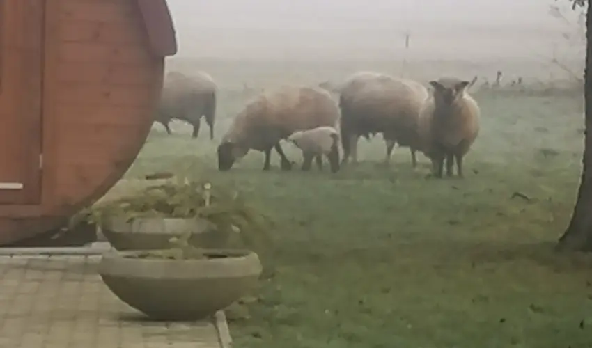 Kerka Vendghz Csesztreg - Mjus 1. (min. 2 j)