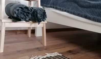 Kiskilenc Vendghz Szarvask