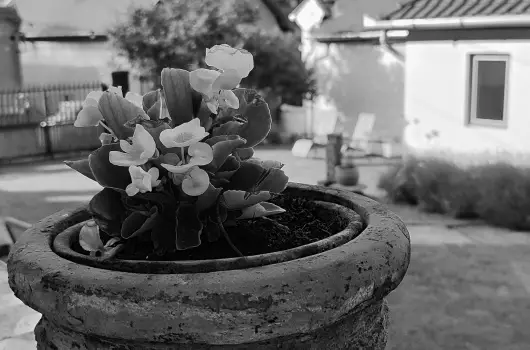 Kiskilenc Vend�gh�z - M�jus 1. (min. 2 �j)