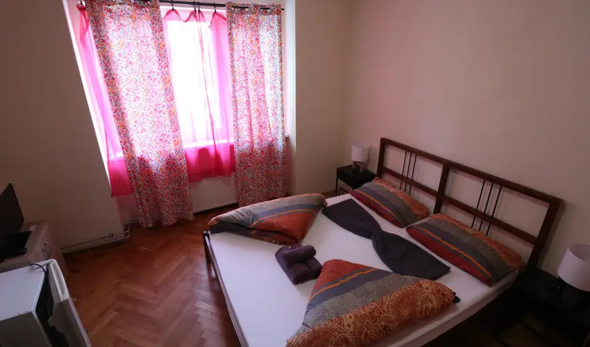 K�bor Macska Fogad� K�szeg - M�jus 1.