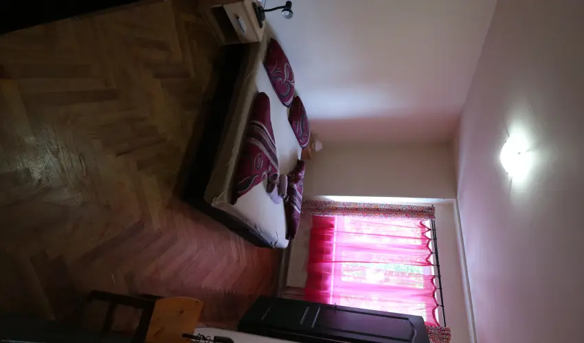 K�bor Macska Fogad� K�szeg - M�jus 1.