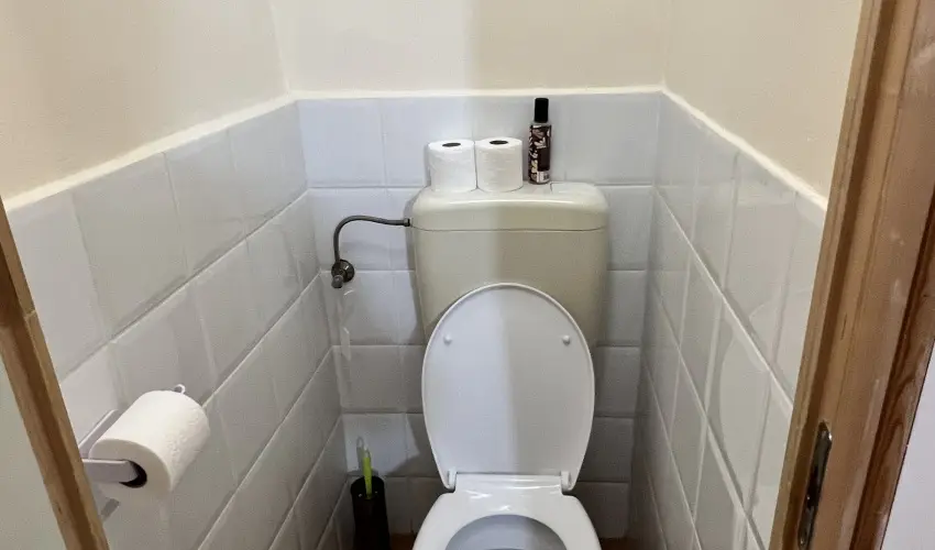 K�bor Macska Fogad� K�szeg - M�jus 1.