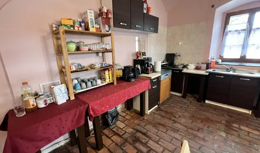 K�bor Macska Fogad� K�szeg - M�jus 1.