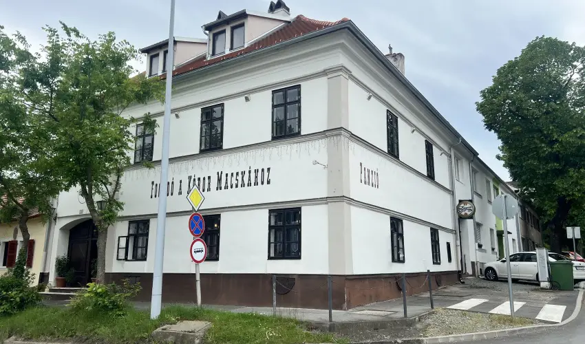 K�bor Macska Fogad� K�szeg - M�jus 1.