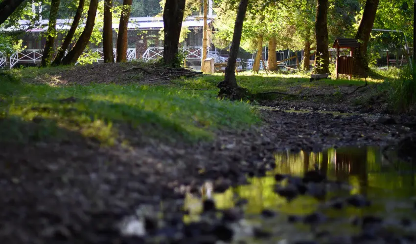 Kkapu Vadszkastly s Hotel & Apartments Nagyhuta - Mjus 1. (min. 2 j)