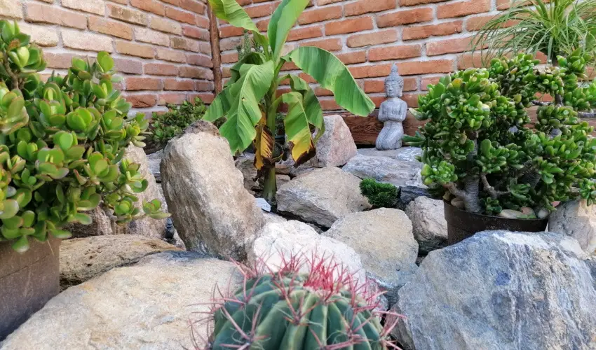 K�kert Pihen�h�z K�szeg - M�jus 1.