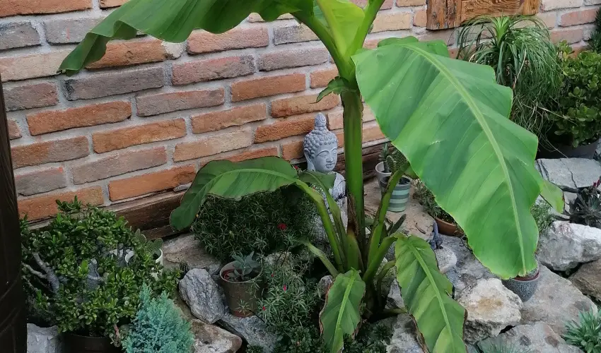 K�kert Pihen�h�z K�szeg - M�jus 1.