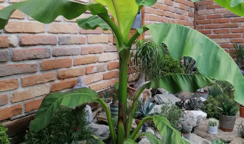 K�kert Pihen�h�z K�szeg - M�jus 1.