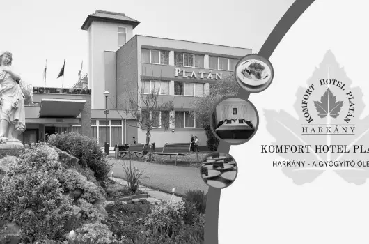 Komfort Hotel Platn - Mjus 1.