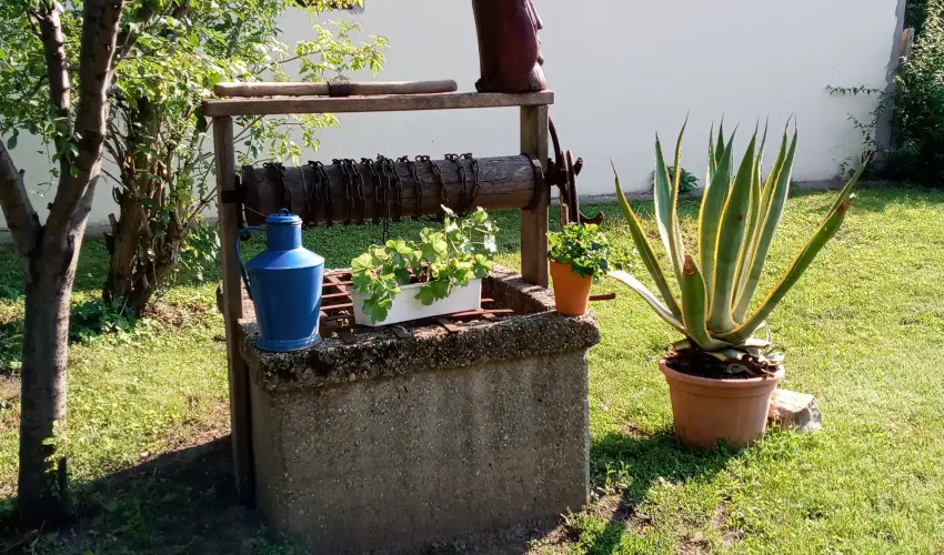 Krs Vendghz Szarvas - Mjus 1. (min. 2 j)