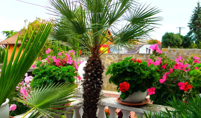 Kristly Apartman Hvz - Mjus 1. (min. 2 j)