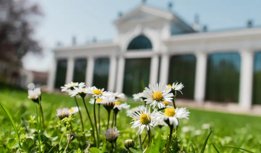 Kristly Imperial Hotel Tata - Mjus 1. 