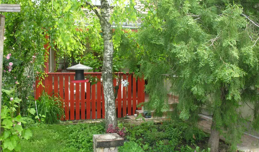 Lelkeshz Szarvas - Mjus 1. 