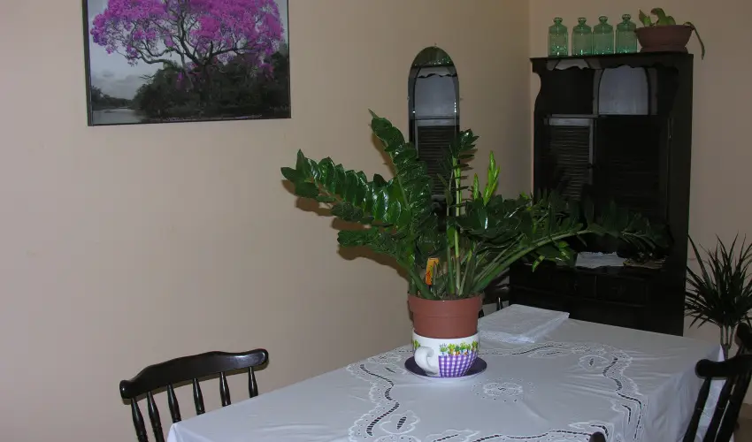 Lelkeshz Szarvas - Mjus 1. 