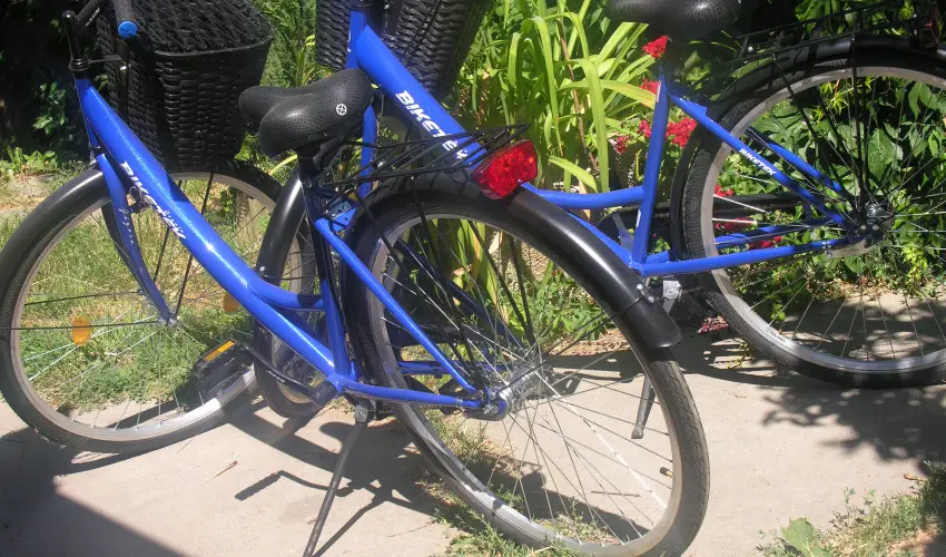 Lelkeshz Szarvas - Mjus 1. 