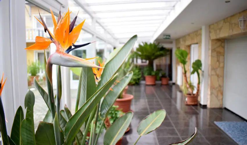 Ldia Hotel Harkny Harkny - Mjus 1. (min. 2 j)