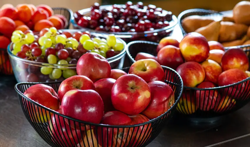 Lifestyle Hotel Mtra Mtrahza - Mjus 1.