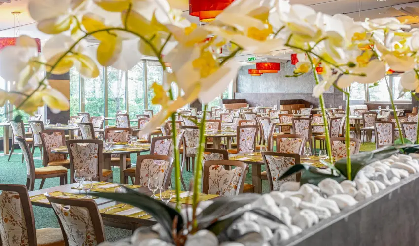 Lifestyle Hotel Mtra Mtrahza - Mjus 1.