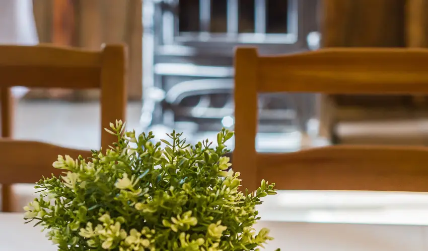 Lipicai Hotel Szilvsvrad - Mjus 1. (min. 2 j)