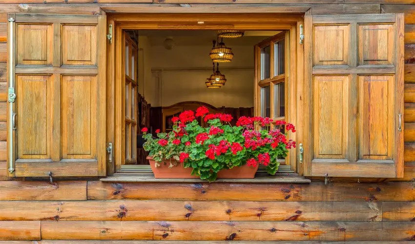 Lipicai Hotel Szilvsvrad - Mjus 1. (min. 2 j)