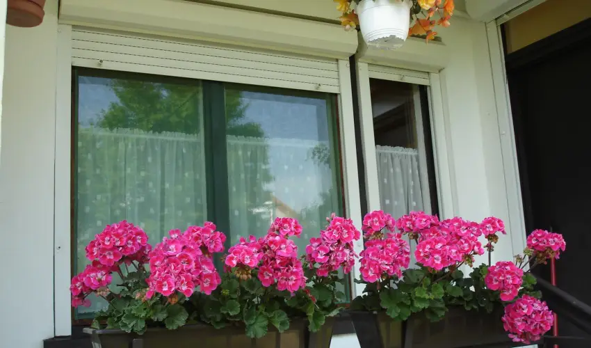 Liza Apartman Gyula - Mjus 1. (min. 2 j)