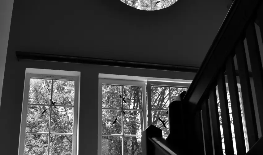 Malomkert Hotel Nagyb�rzs�ny - M�jus 1. (min. 2 �j)