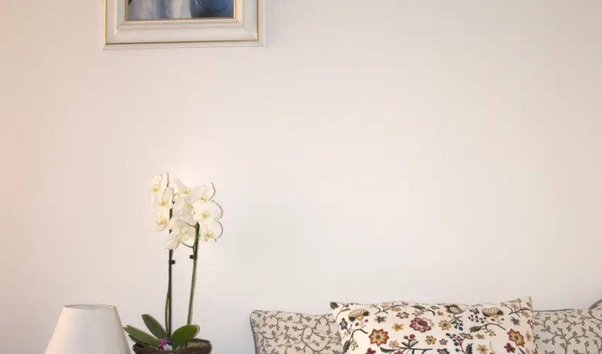 Malom-t Vendghz Tapolca - Mjus 1.