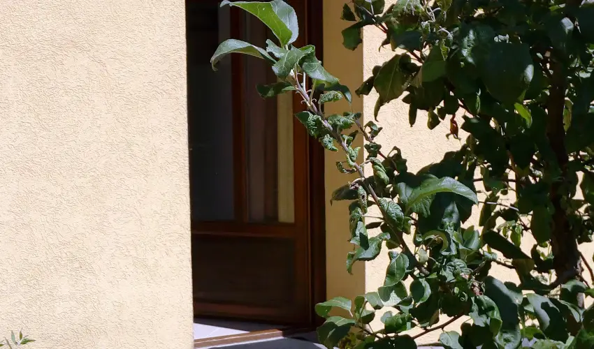 Malom-t Vendghz Tapolca - Mjus 1.