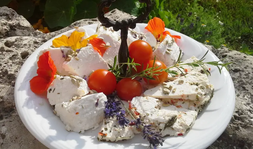 Malom-t Vendghz Tapolca - Mjus 1.