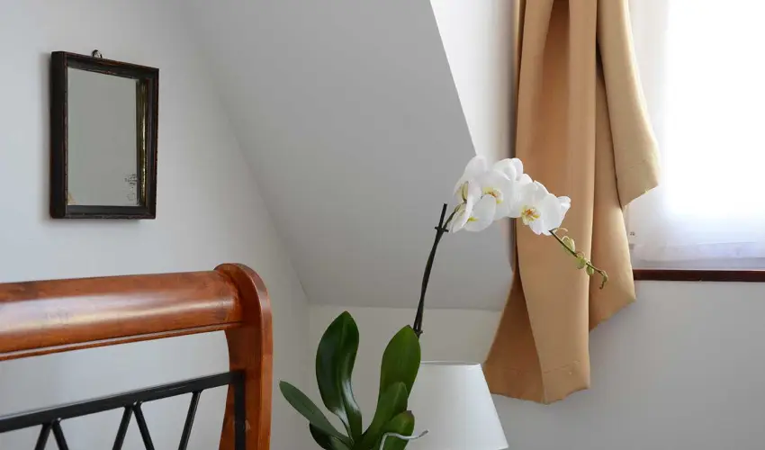 Malom-t Vendghz Tapolca - Mjus 1.