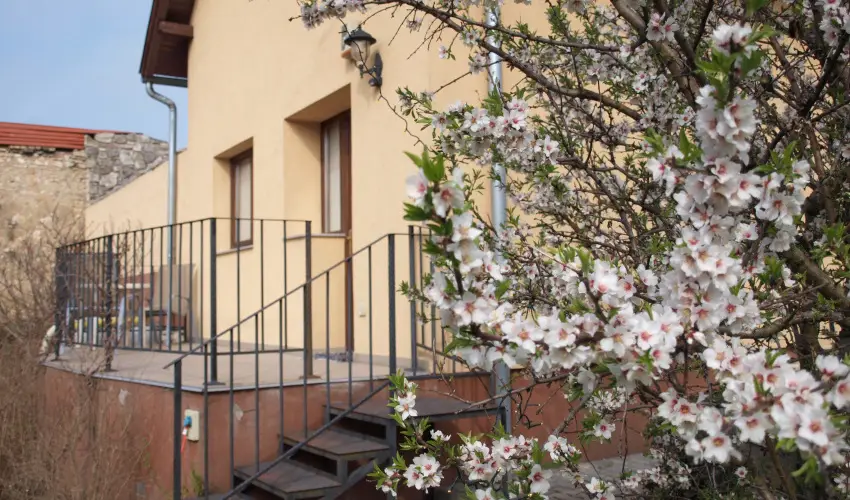 Malom-t Vendghz Tapolca - Mjus 1.