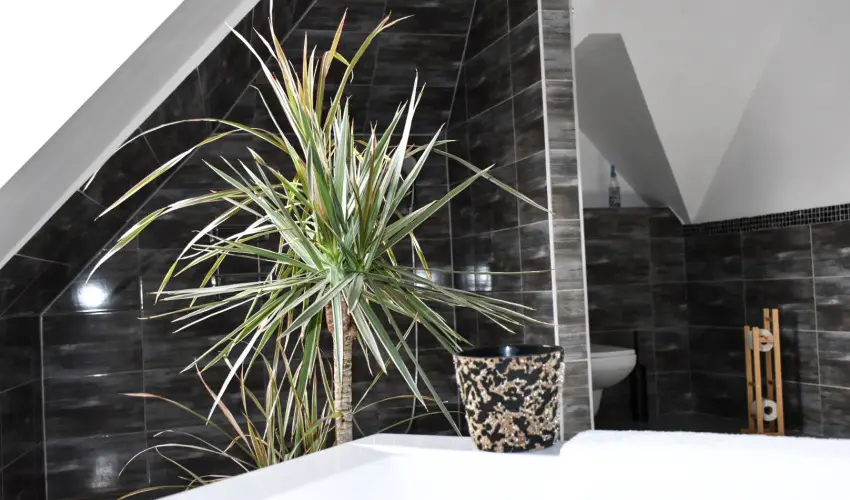 V�gv�ri Hotel Eger Eger - M�jus 1.