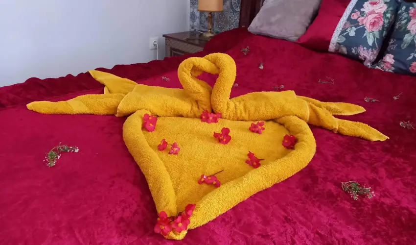 Meller Kast�ly Villa Csurg� - M�jus 1.